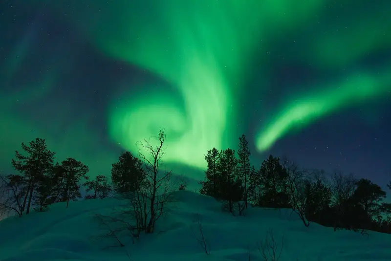 A swirl of green northern lights above snow-covered pine trees