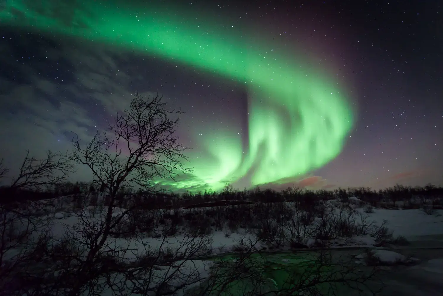 A bright green spiral of northern lights above bare birch trees and snow