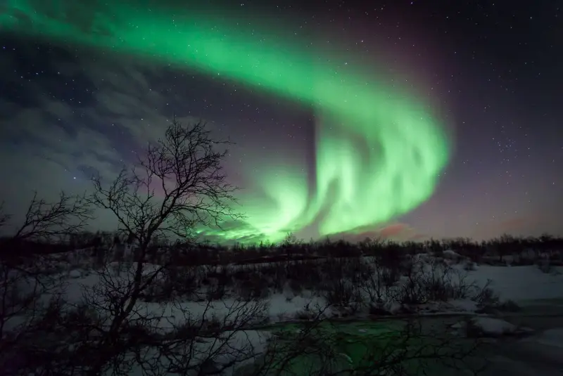 A bright green spiral of northern lights above bare birch trees and snow
