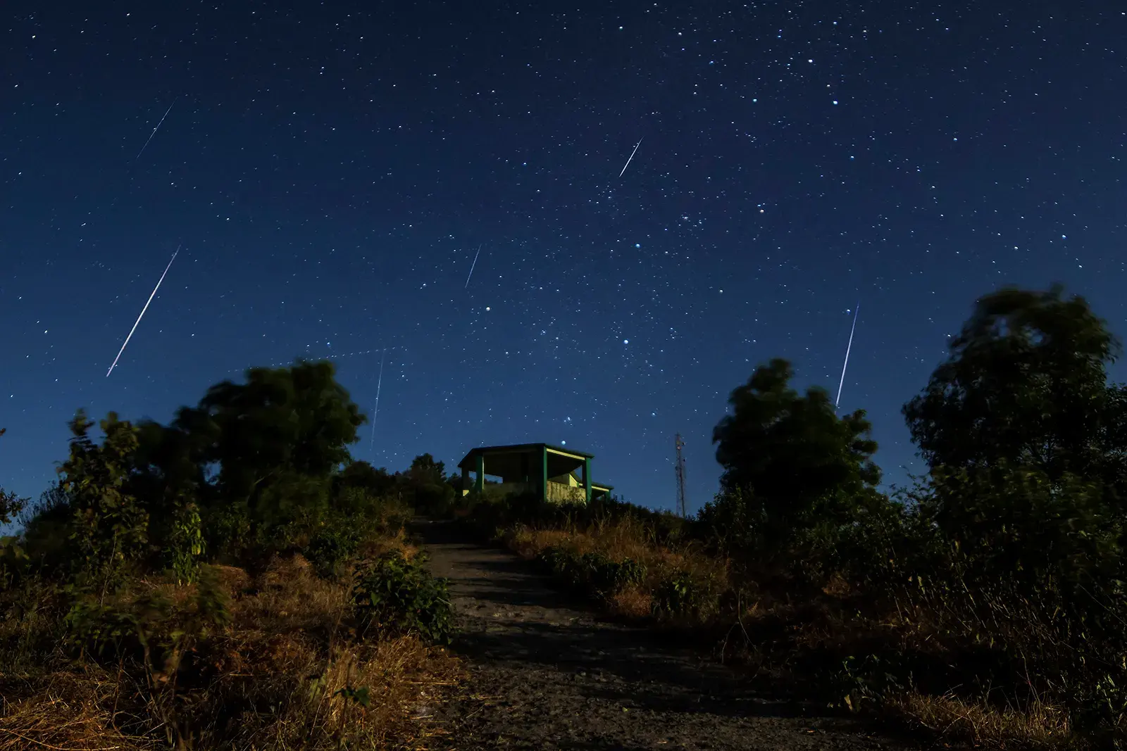 Several bright meteor streaks over dark trees and a small hut under a starry sky